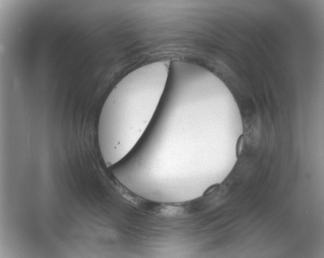 X0000067460718200604070927