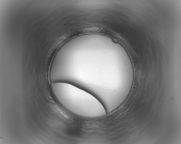 X0000067460729200604070926