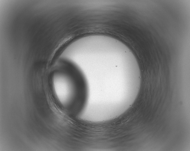 X0000067460731200604070926