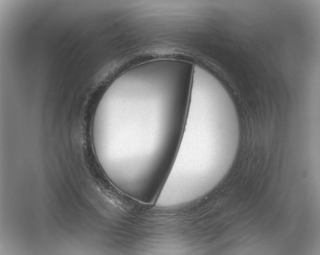 X0000067460732200604070926