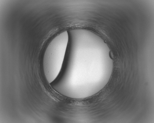 X0000067460738200604070926