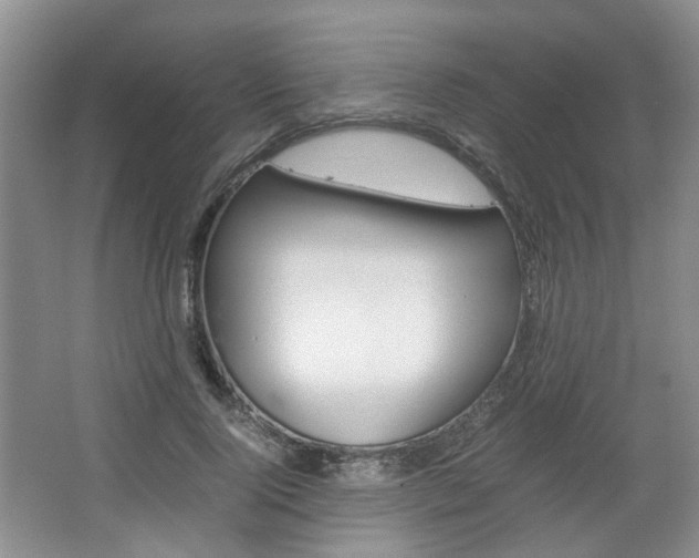 X0000067460740200604070926