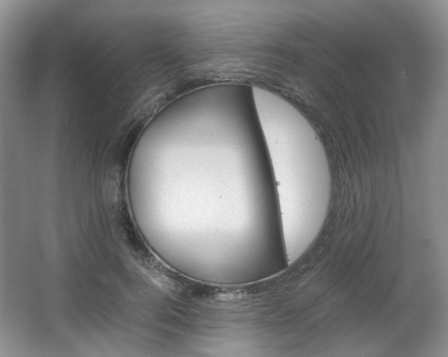 X0000067460744200604070926