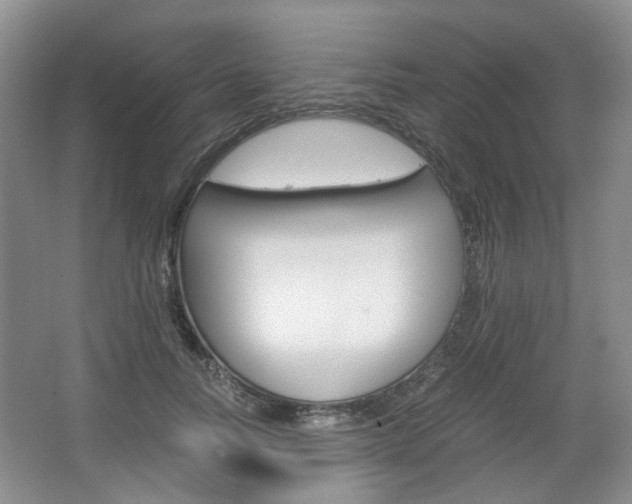 X0000067460746200604070926