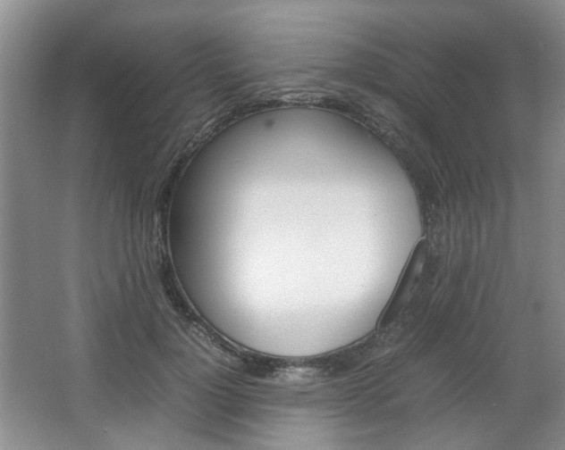 X0000067460748200604070926