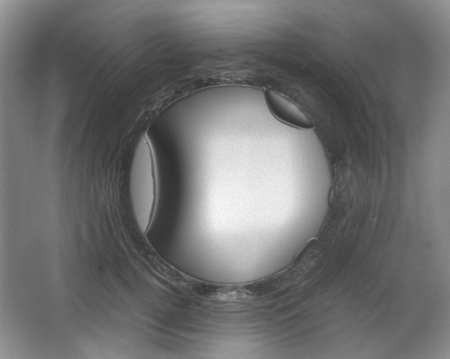 X0000067460752200604070926