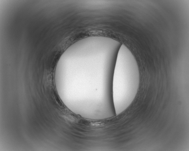 X0000067460753200604070926