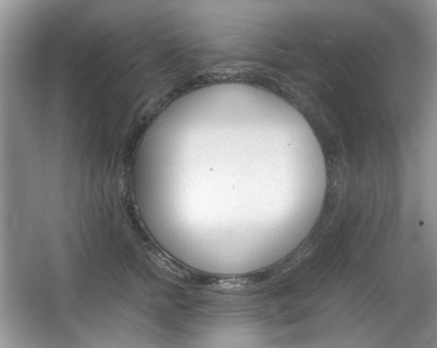 X0000067460758200604070926