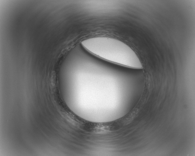 X0000067460760200604070926