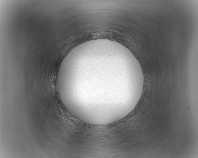 X0000067460770200604070926