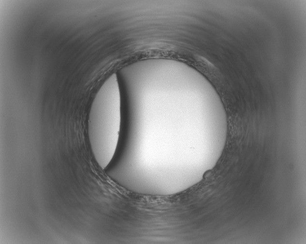 X0000067460774200604070926
