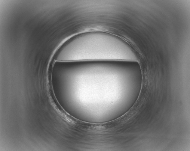 X0000067460784200604070925