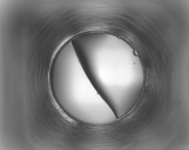 X0000067460796200604070925