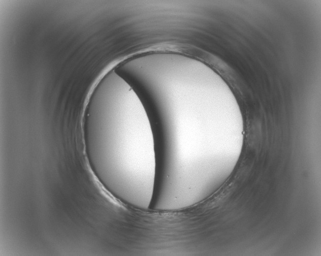 X0000067460808200604070925