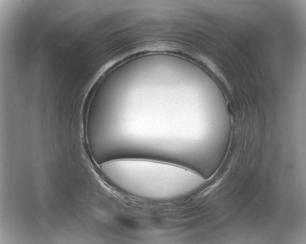 X0000067460837200604070924