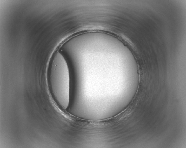 X0000067460840200604070924