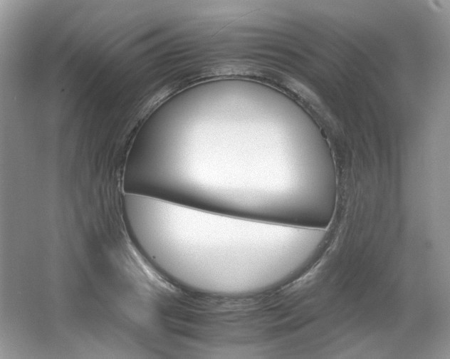 X0000067460841200604070924