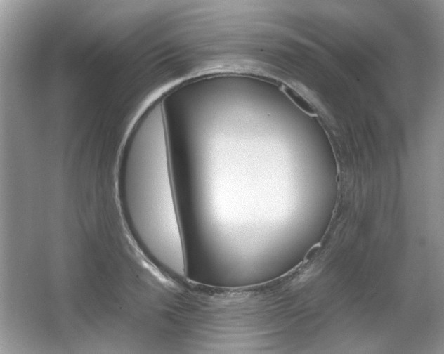 X0000067460846200604070925