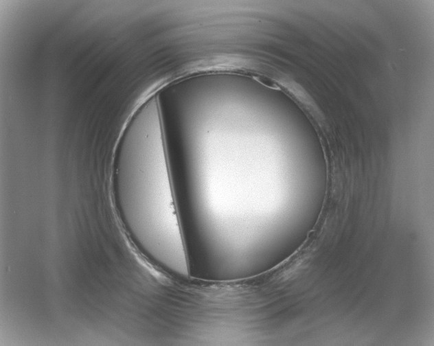 X0000067460850200604070925