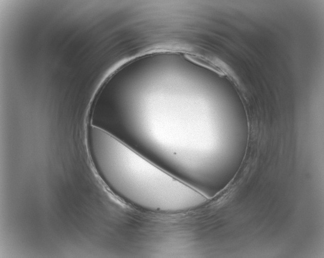 X0000067460854200604070925