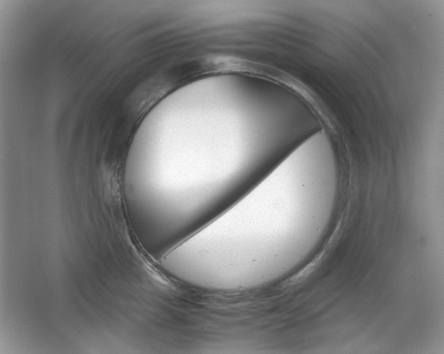 X0000067460857200604070925