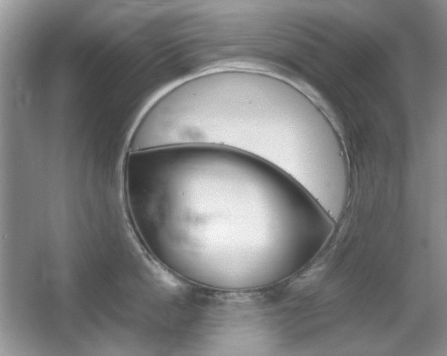 X0000067460862200604070925