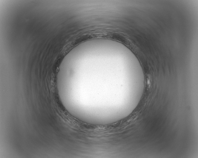 X0000067460867200604070924