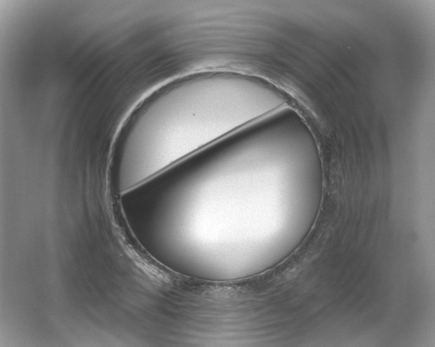 X0000067460880200604070924