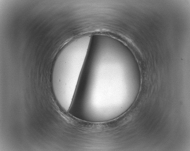 X0000067460881200604070924