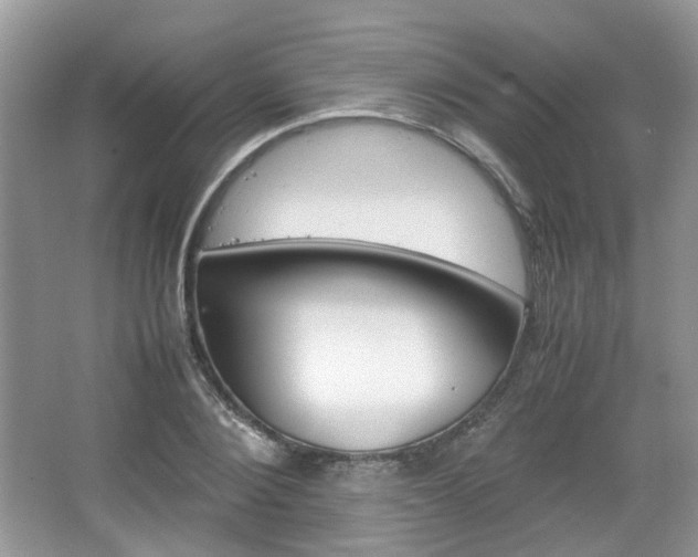 X0000067460884200604070924