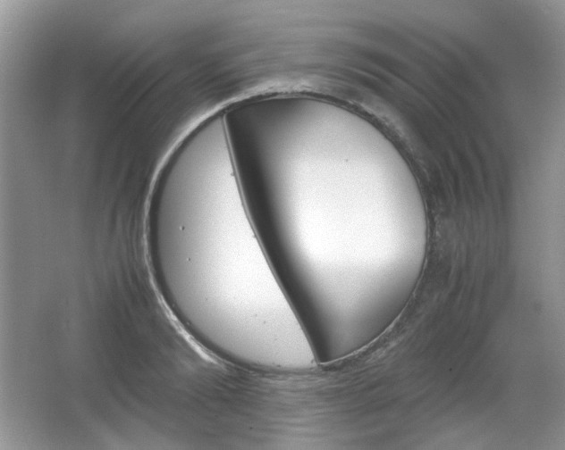 X0000067460894200604070924