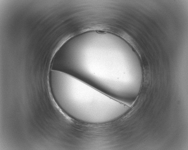 X0000067460906200604070923
