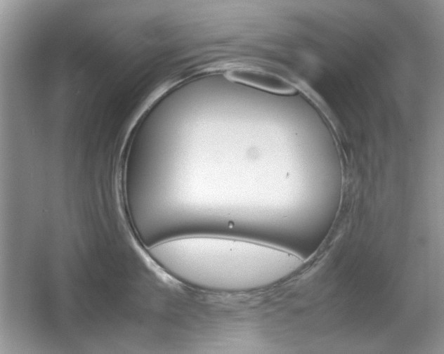 X0000067460909200604070923