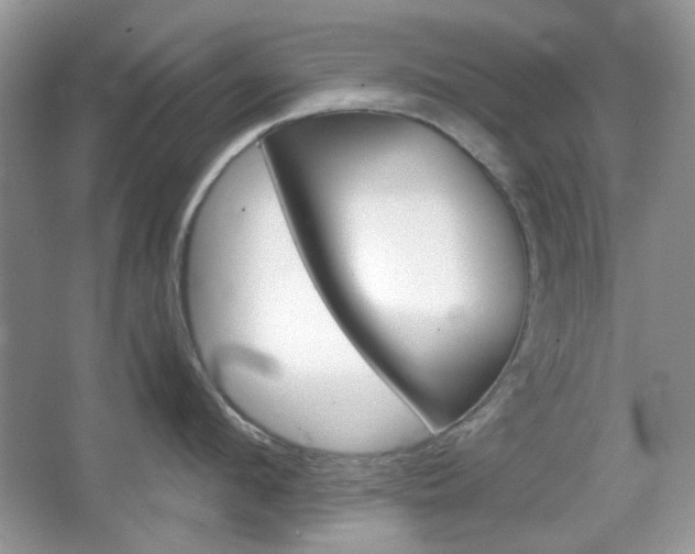 X0000067460912200604070923