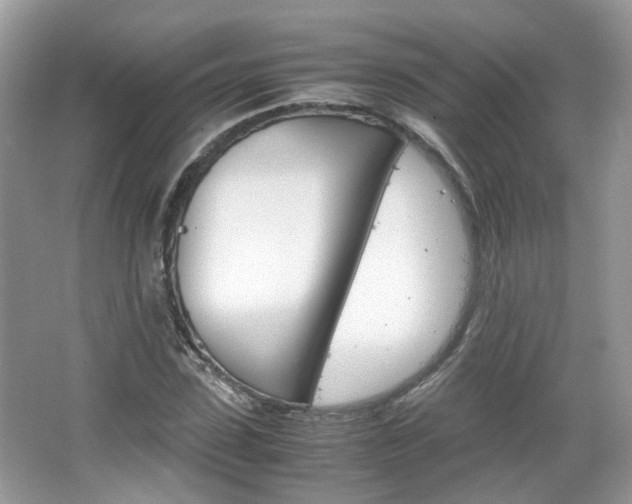 X0000067460923200604070923