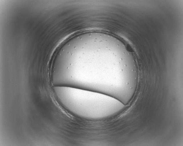 X0000067460933200604070923