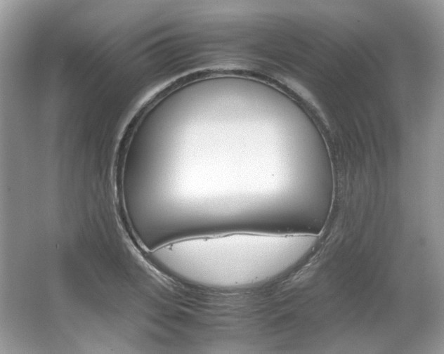 X0000067460935200604070923
