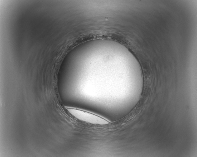X0000067460961200604070922