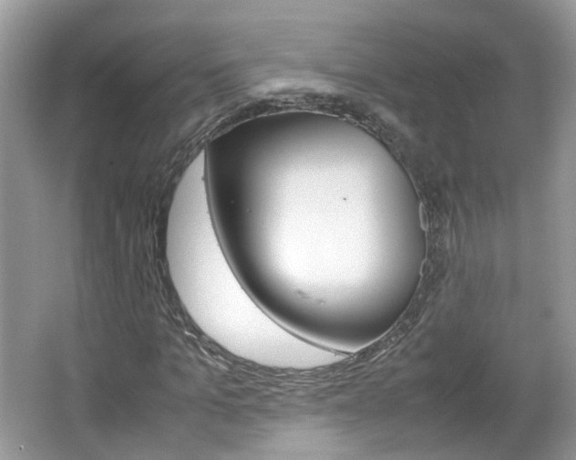 X0000067460965200604070922
