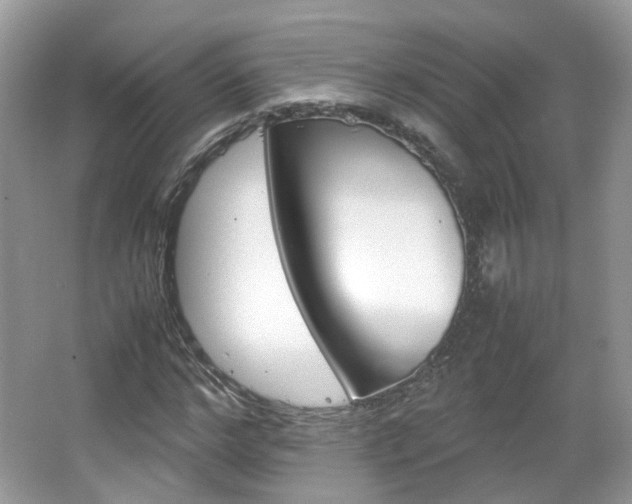 X0000067460968200604070922