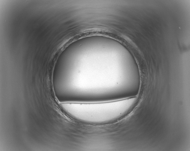 X0000067460969200604070922