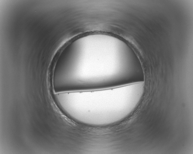 X0000067460983200604070922