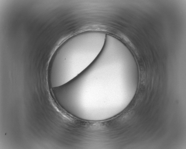 X0000067460986200604070922
