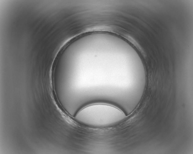 X0000067460988200604070922