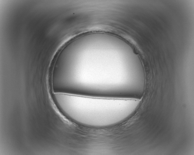 X0000067460991200604070922