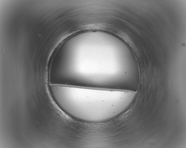 X0000067460992200604070922
