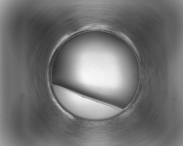X0000067460997200604070922
