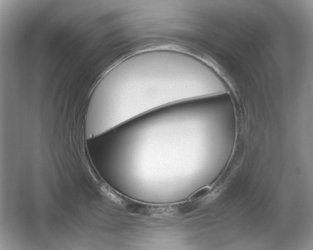 X0000067461001200604070922