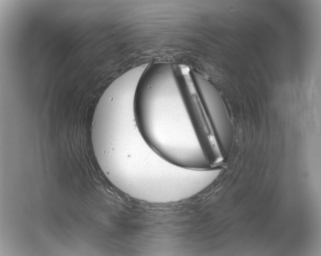 X0000067461010200604070921