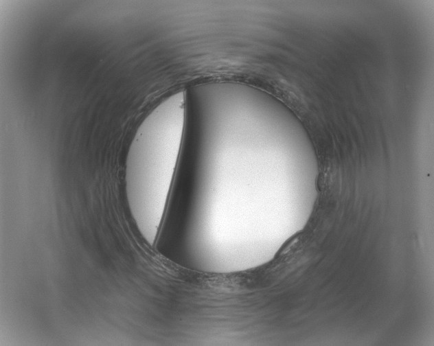 X0000067461012200604070921